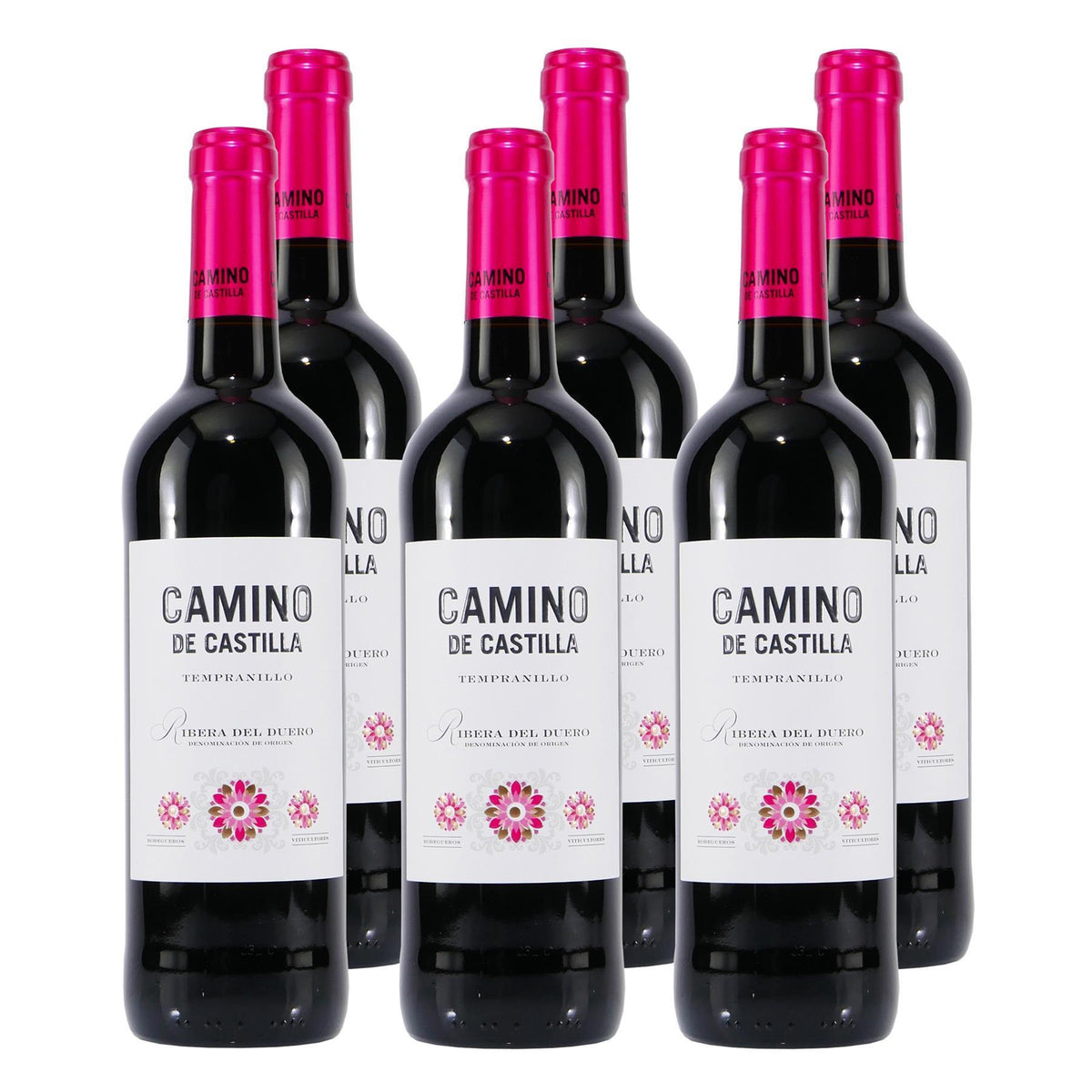 Camino de Castilla Tempranillo D.O. -trocken- (6 x 0,75L)
