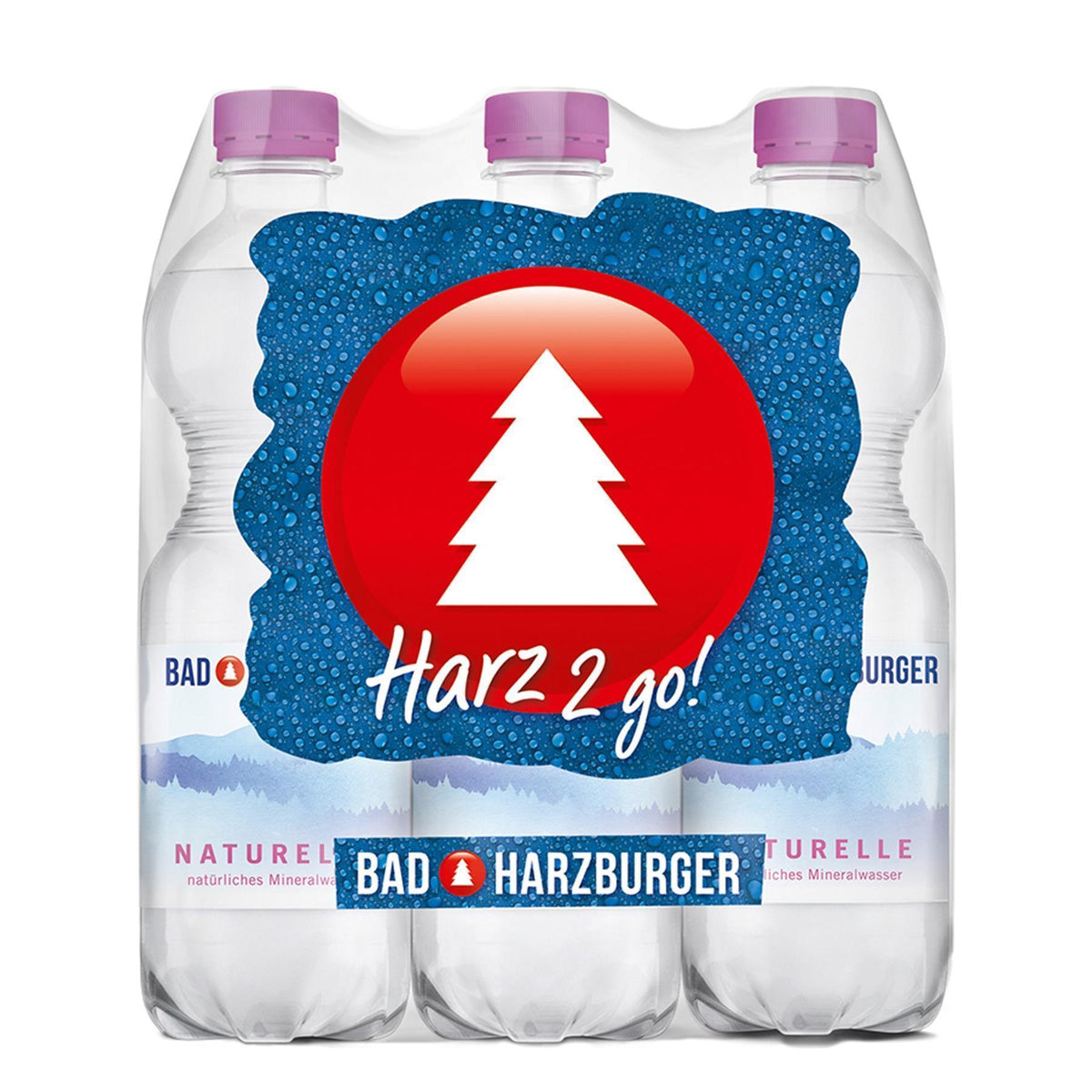 Bad Harzburger Mineralwasser -Naturelle- (6 x 0,5L) EINWEG