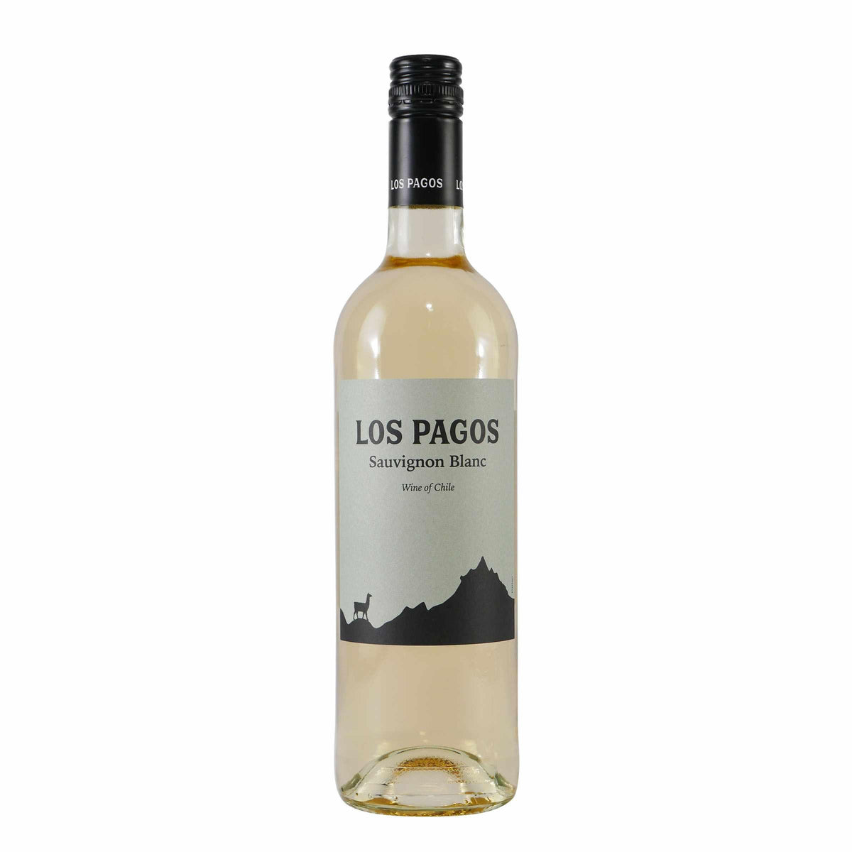 Los Pagos Sauvignon Blanc -trocken- (6 x 0,75L)