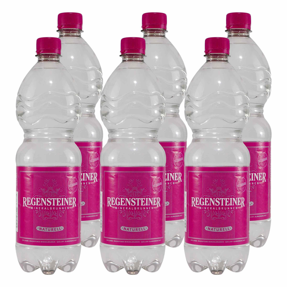 Regensteiner Mineralwasser -Naturelle- (12 x 1,0L) EINWEG