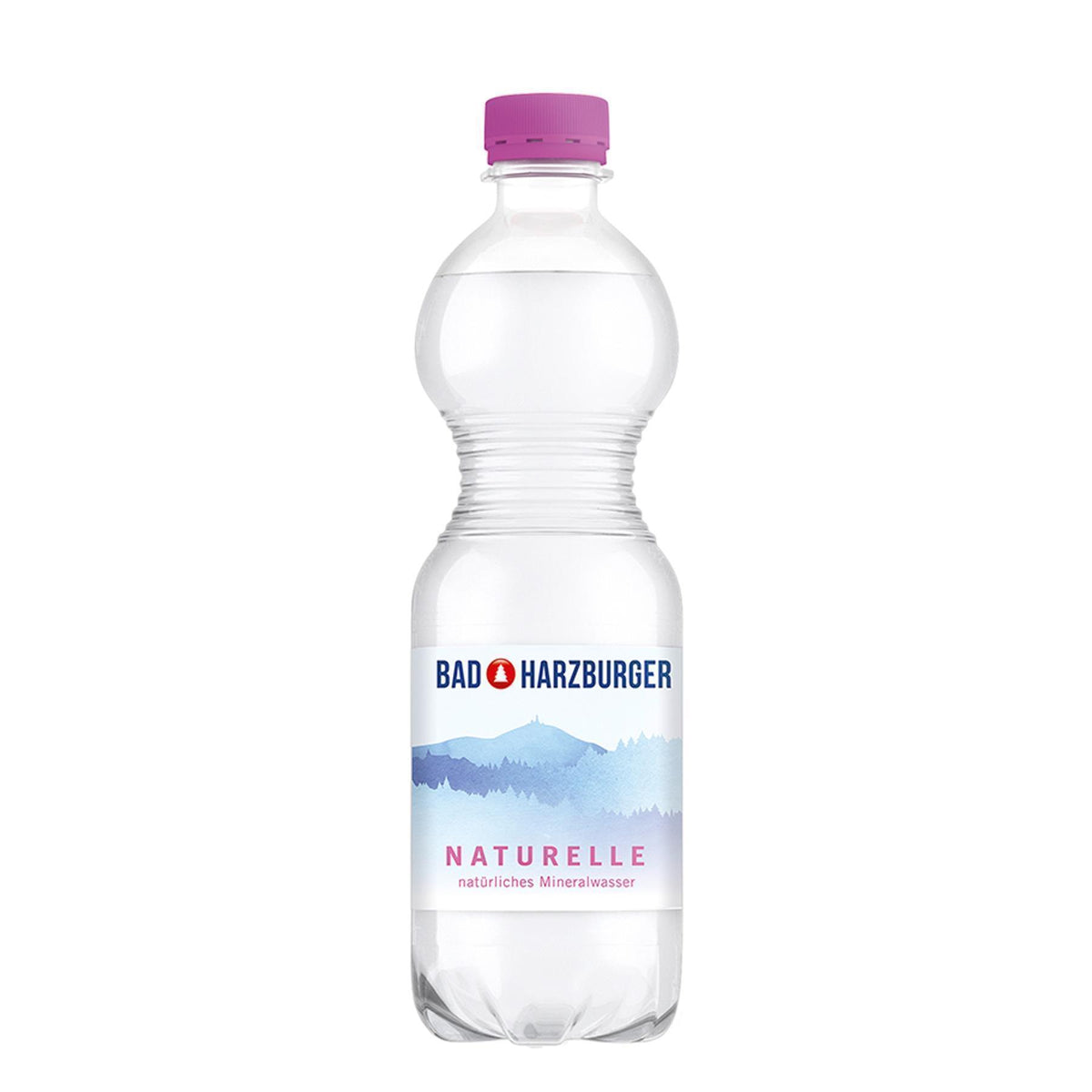 Bad Harzburger Mineralwasser -Naturelle- (6 x 0,5L) EINWEG