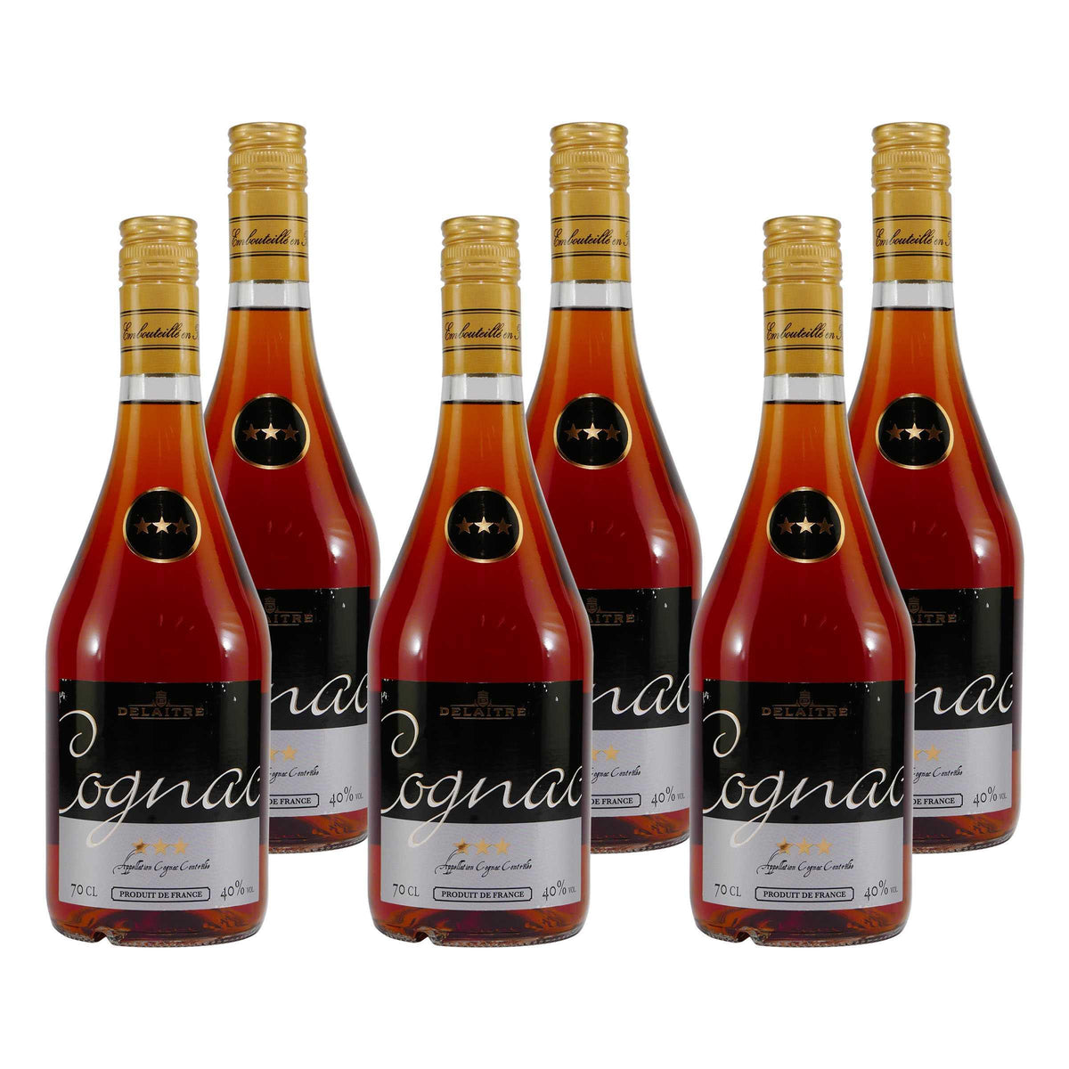 Delaitre Cognac V.S. (6 x 0,7L)