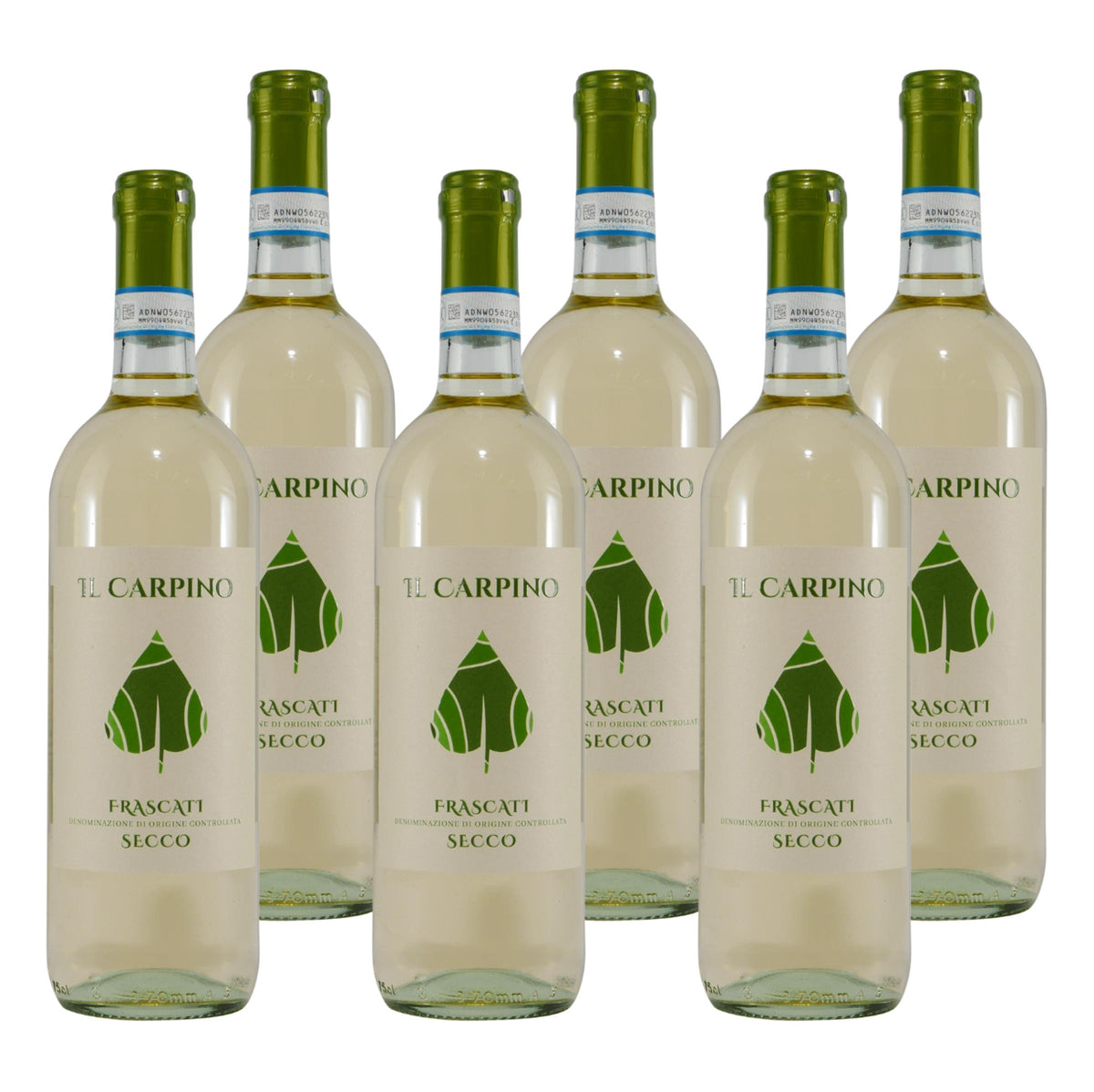 IL Carpino Frascati Secco DOC -trocken- (6 x 0,75L)
