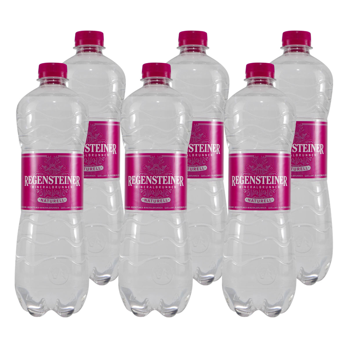 Regensteiner Mineralwasser -Naturelle- (6 x 0,75L) EINWEG